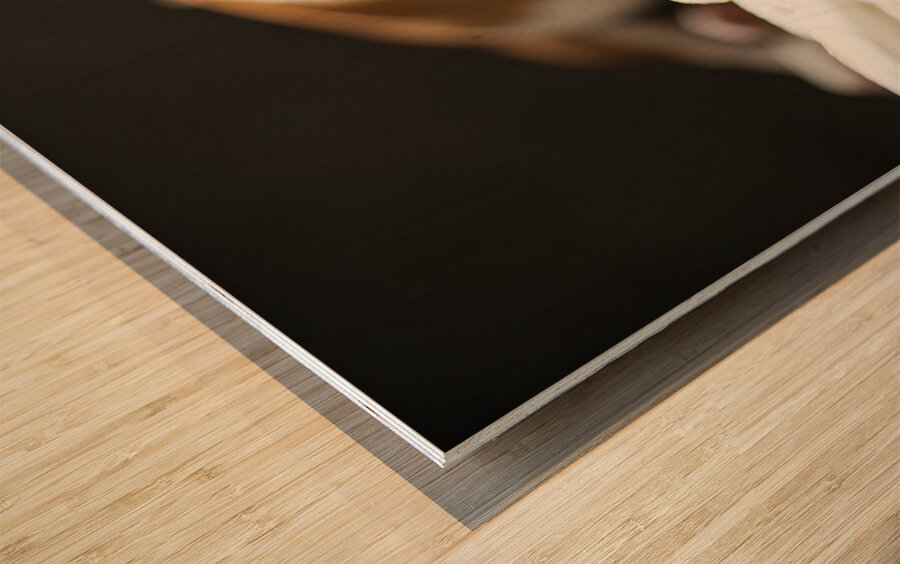 Bulldog Puppy Perfect Portrait Pose Wood print