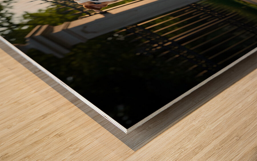 Bulldog Puppy Jumps With Joy At School Gate Impression sur bois