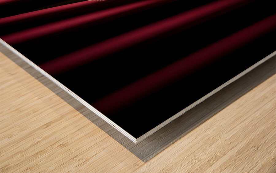 Poodle Puppy Bursts Out From Curtain Hiding Spot Wood print