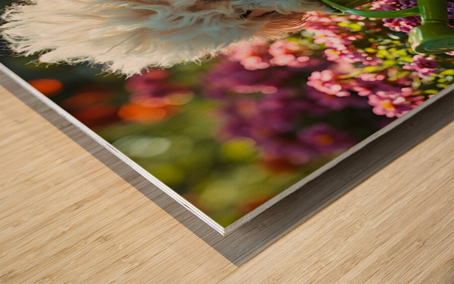 Free Poodle Puppy Sits By Overturned Watering Can Wood print