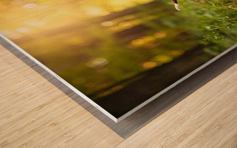 German Shorthaired Pointer Puppy Befriends Trail Horse Wood print