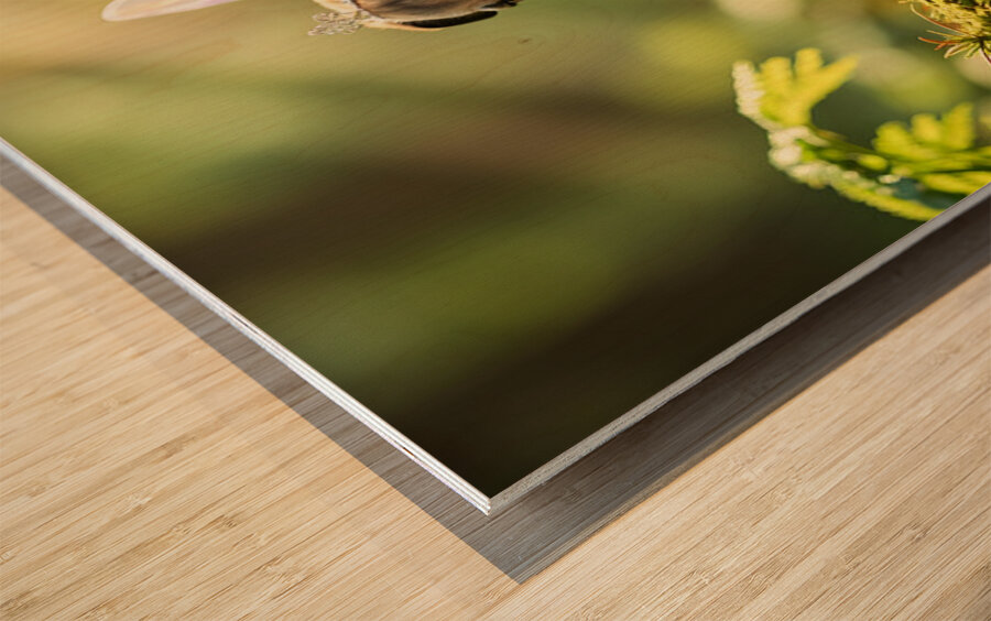 Pug Puppys Magical Garden Adventure Begins Impression sur bois