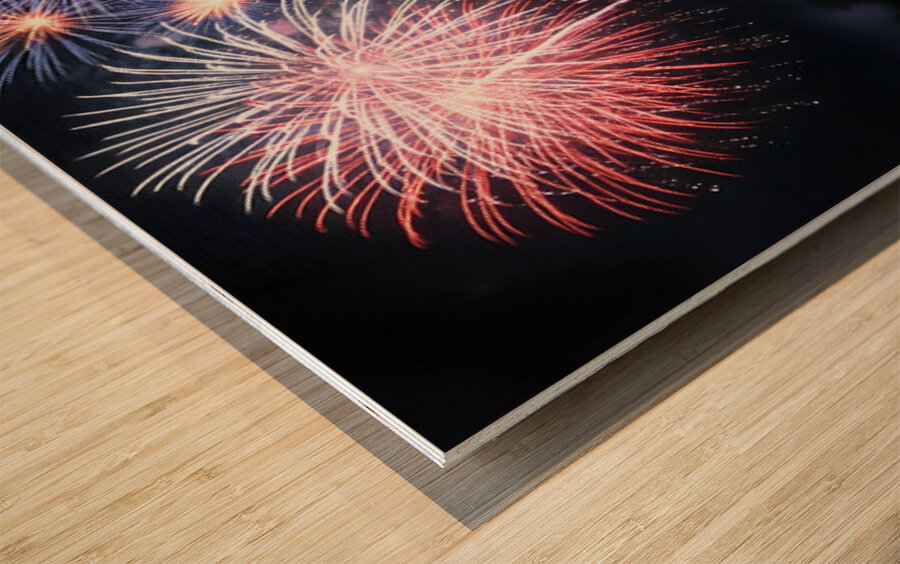 Happy Corgi Puppy Wags Tail After Fireworks End Wood print