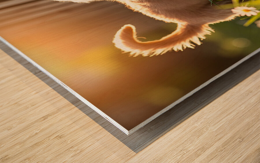 Golden Retriever Puppy Discovers Park Fence Wood print