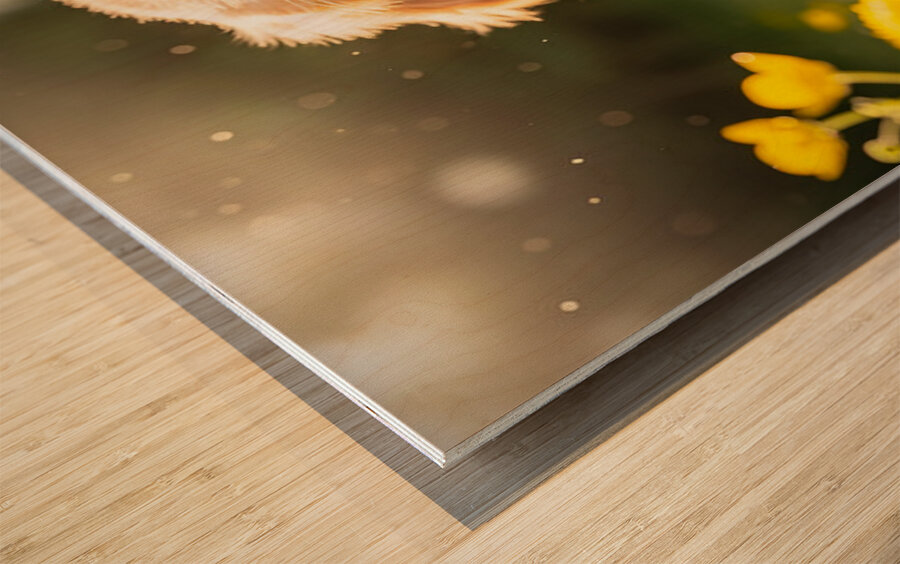 Golden Retriever Puppy Discovers Herb Pile Impression sur bois