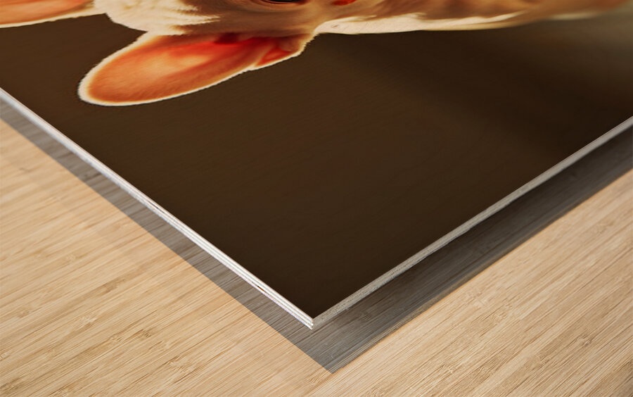 Satisfied Puppy Rests After Big Meal Impression sur bois