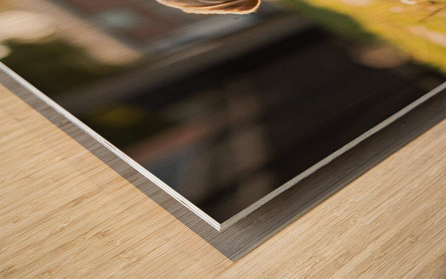 Patient Puppy Rests While Maintaining His Faithful Watch Impression sur bois