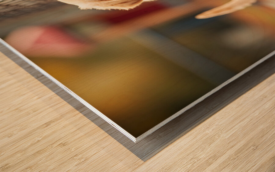 Puppy Waits Eagerly At School Gate For Children Wood print