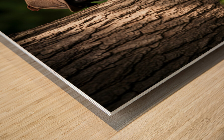 Detective Puppy Solves Case And Finds New Garden Friend Impression sur bois