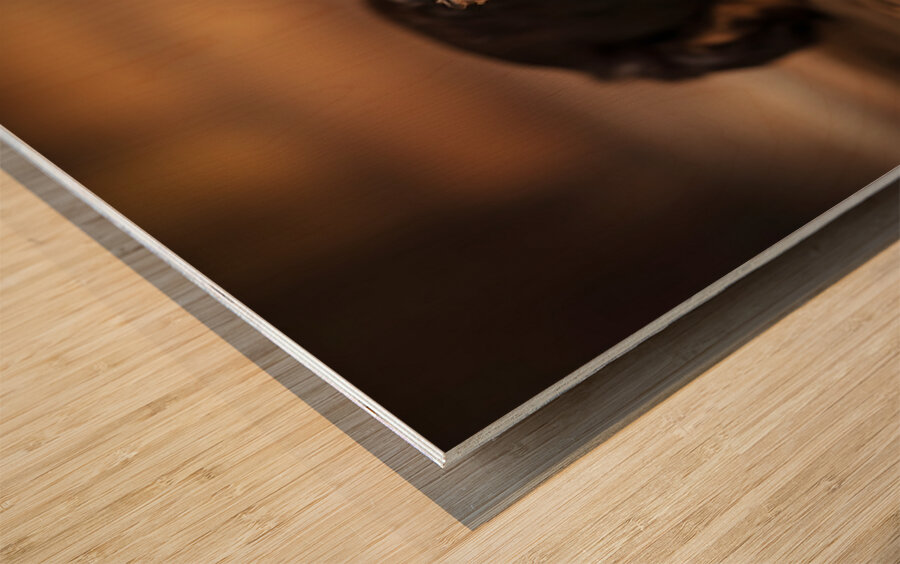 Happy Yorkshire Terrier Puppy With Nature Treasures Impression sur bois