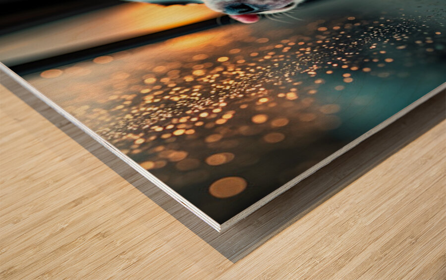 Boston Terrier Puppy Watches Rain From Car Window Wood print