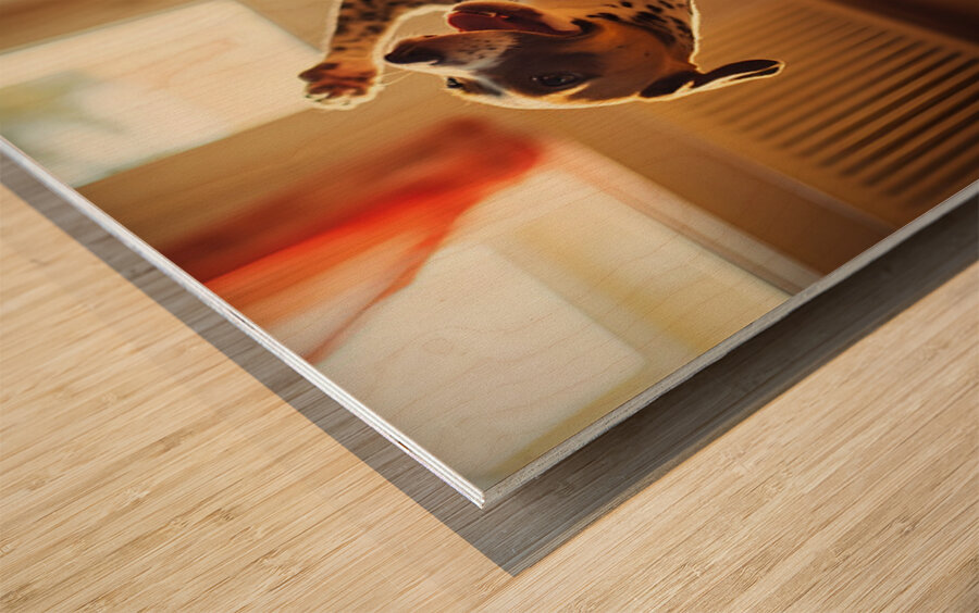 Puppy Masters Gentle Rocking Chair Motion Wood print