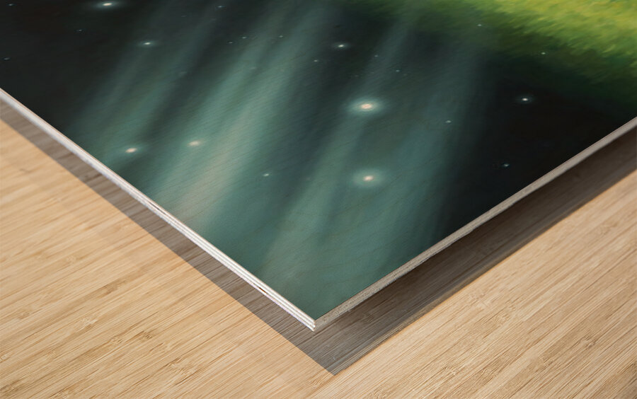 German Shorthaired Pointer Puppy Discovers Night Shadows Impression sur bois