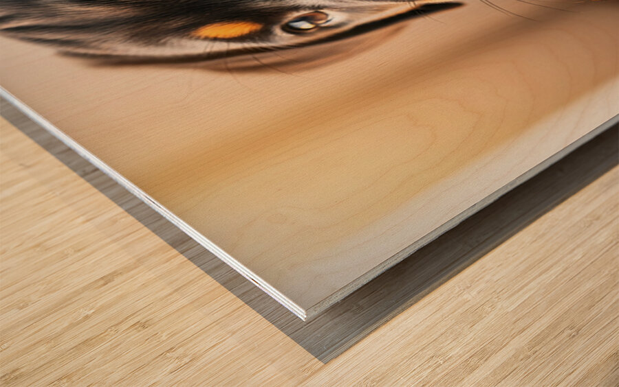 Rottweiler Puppy Discovers Something New Wood print