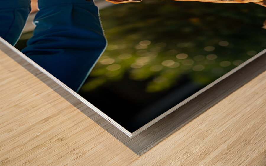 Bulldog Puppy Waves Goodbye To Mail Carrier Wood print