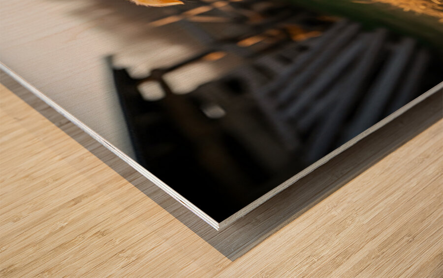 Sleepy Golden Retriever Puppy Rests In Cozy Haystack Impression sur bois