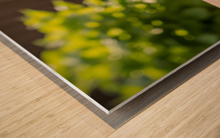 Golden Retriever Puppy Proud Of Pawprint Autograph Wood print