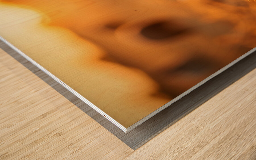 Playful Bichon Frise Puppy Slides Down Haystack Wood print