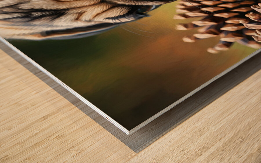 Pug Puppy Discovers Interesting Scents On Floor Wood print