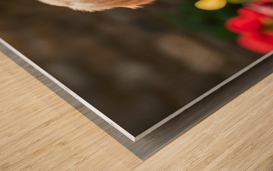 Golden Retriever Puppy Ready To Give Pawprint Autograph Wood print