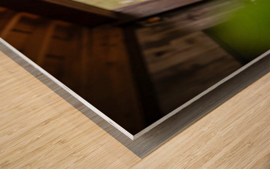 Brave Corgi Puppy Watches Storm Clear Impression sur bois