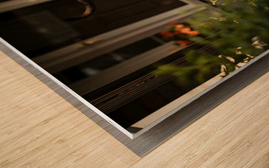 Cane Corso Puppy Gets Ready With Sparkly Collar Wood print