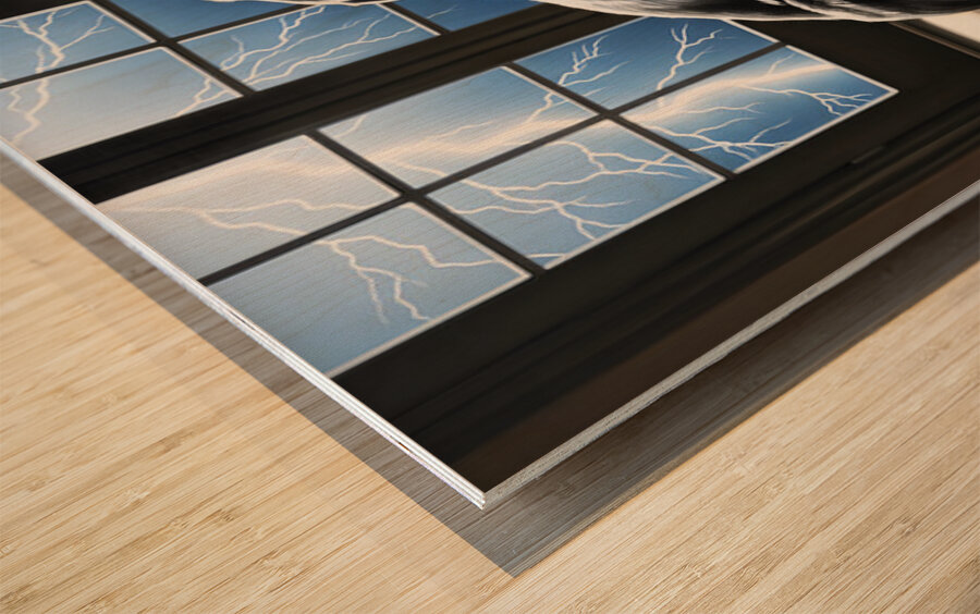 Cane Corso Puppy Seeks Shelter Under Table Impression sur bois