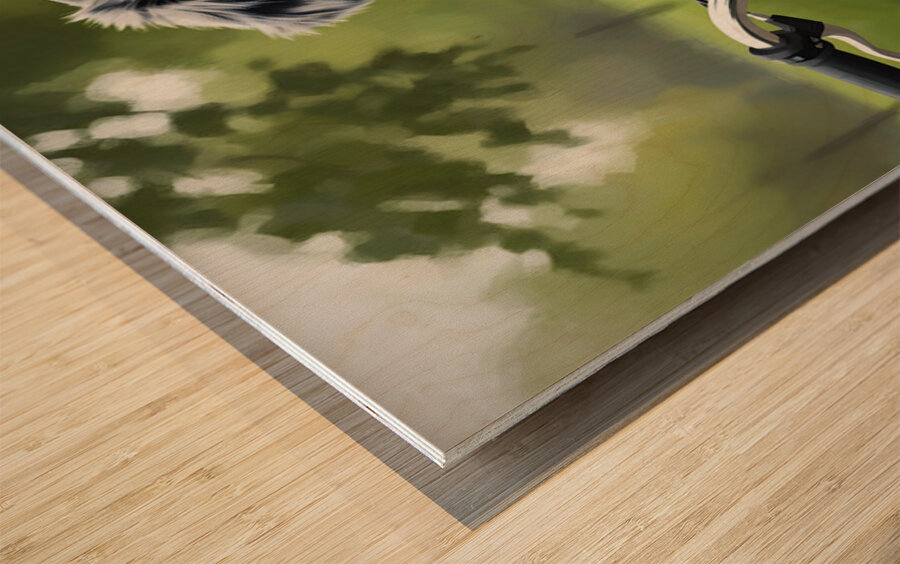 Happy Australian Shepherd Puppy Enjoys Bicycle Ride Wood print