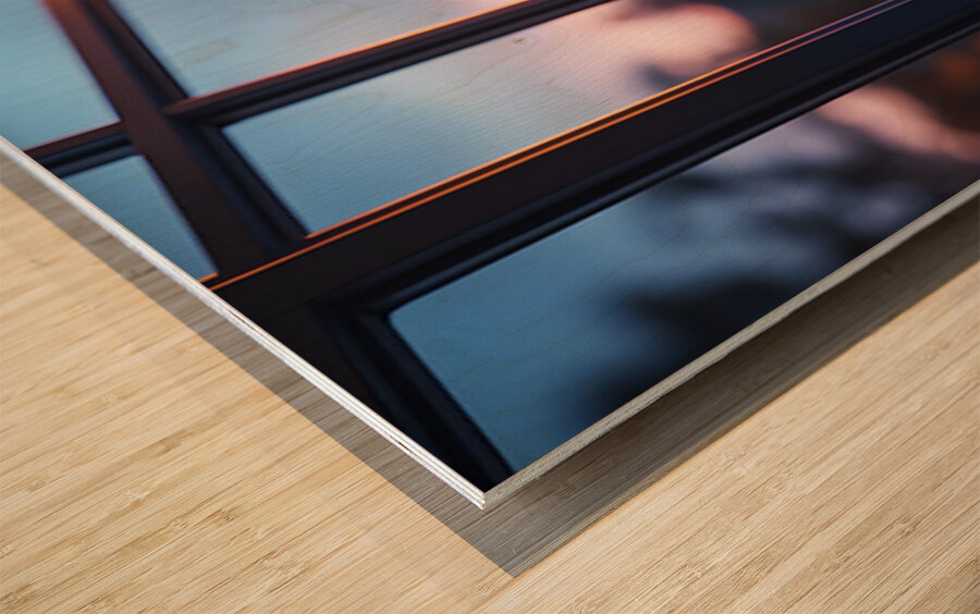 Boston Terrier Puppy Gets Special Collar Wood print