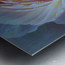 w flower 32 Metal print