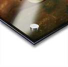 Apple Nude  Acrylic print