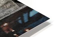 Avestruz HD Metal print