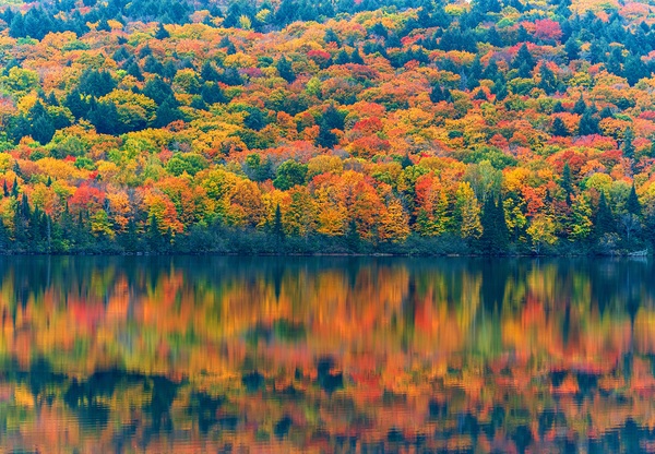 Autumns Attire Digital Download