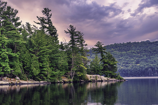 Light Before a Storm Digital Download