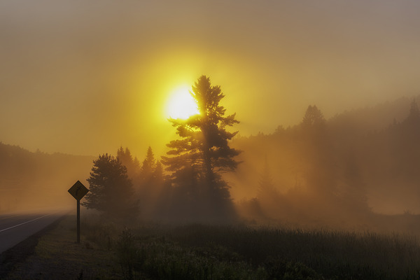 Algonquin Park Sunrise Digital Download