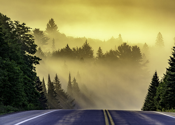 Algonquin Park Sunrise Téléchargement Numérique