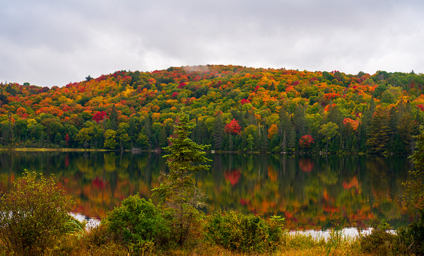 Algonquin Park in Autumn Digital Download