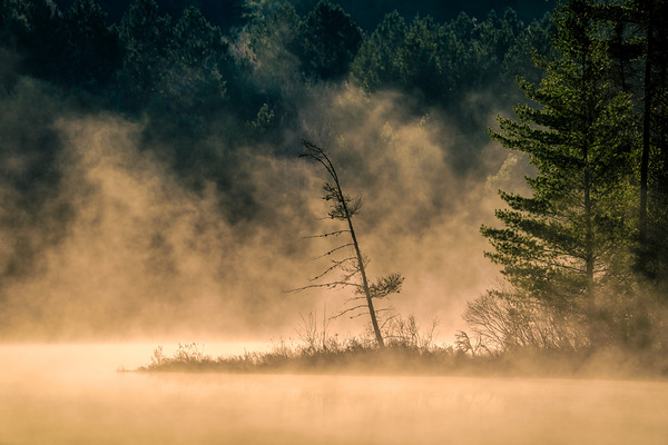 Mystical Digital Download