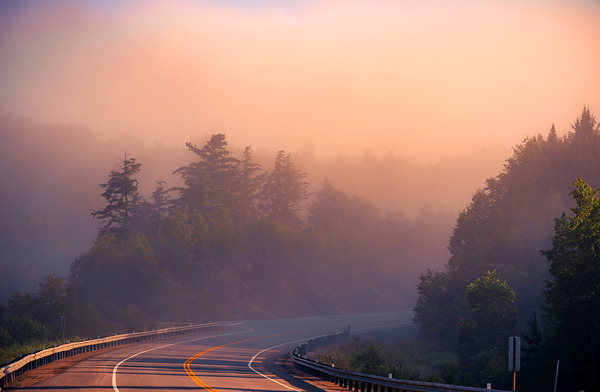 Nature at its best Téléchargement Numérique