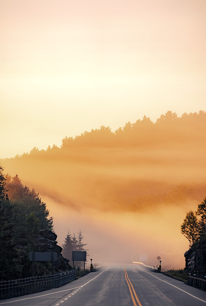 Morning Light Digital Download