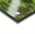 Fox Kit Acrylic print