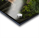 Love of a Mom Acrylic print