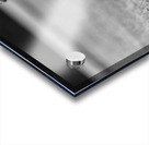 Three Eyed Raven Acrylic print