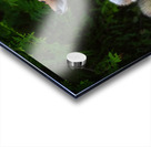 Fox in nature s embrace Acrylic print