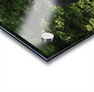 Bull Moose in early morning light. Acrylic print