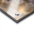 Cherry Blossom Impression Acrylique