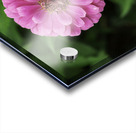 Nature’s art palette Acrylic print