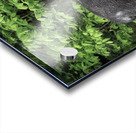 Gentle Giant Acrylic print