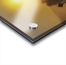 Algonquin Park Sunrise Acrylic print