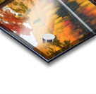 Autumns Display Acrylic print